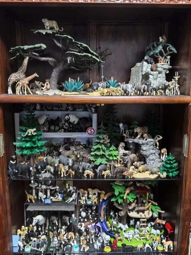 Schleich 思乐 ｜ 孩子动物模型安利❗❗
