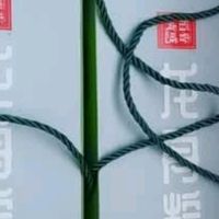 稻香诱惑龙舟粽礼1420g：10粽10味+4枚咸鸭蛋