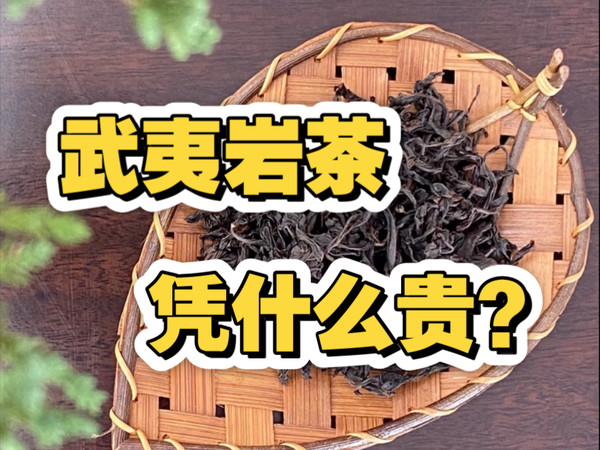武夷岩茶凭什么贵？只是讲故事么？
