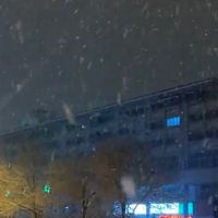 苏泊尔SW-15Y05，让生活慢下来！