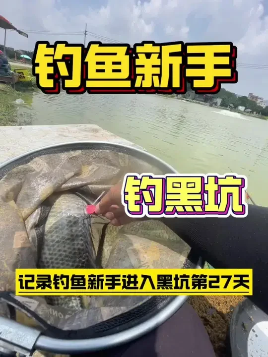 记录钓鱼新手钓黑坑第27天#罗非 #黑坑盘老板 #沃鼎王者神剑黑坑竿 #原来钓鱼才是抖音运动顶流