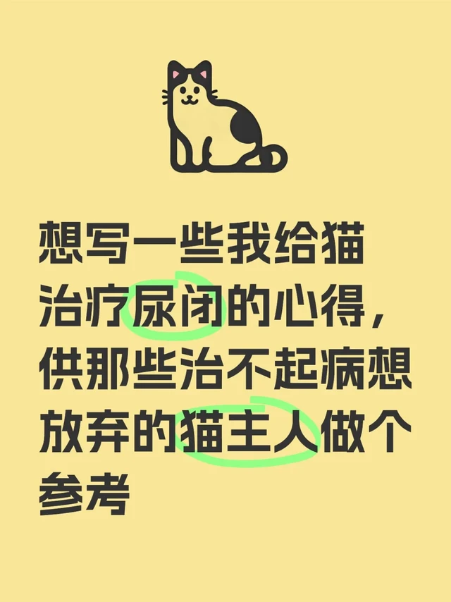 关于猫尿闭的那些事和我给猫喂过的药