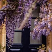 百吃不腻的鳕鱼片，绝了！