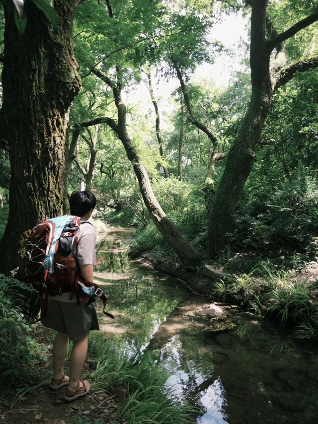 杭州徒步｜溯溪穿林一日漫游指南📔