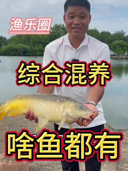黑坑混养塘偷馿怎么钓才能钓到鱼？试试这个方法让你鱼获更多 #汉鼎螺纹钢 #汉鼎真材实料放心入 #钓鱼 #黑坑混养 #无铅钓法 @汉鼎官方旗舰店 @汉鼎黑哥 汉鼎一号6代26号发售