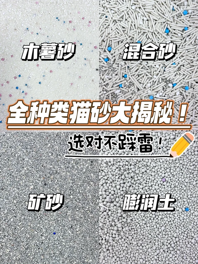 全种类猫砂大揭秘！选对不踩雷💥

📝作为一位6年铲屎经验的铲屎官，真是的踩过很多坑。

不过，经过不断地尝试和对比，终于对木薯砂、矿砂、混合砂和膨润土这几种常见猫砂有了点了解。今天就来给大家详细测评一