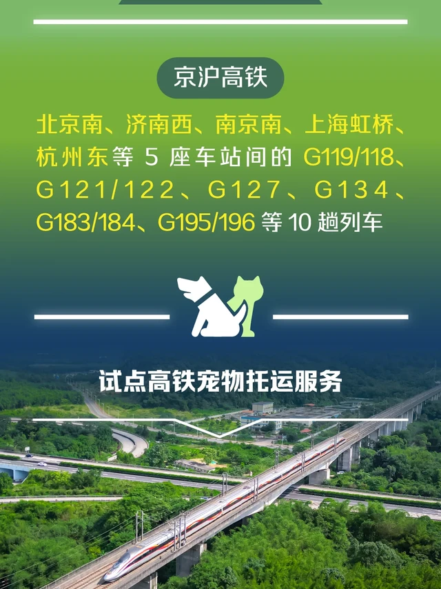 🤩感动了！真的可以带毛孩子坐高铁了！🐕