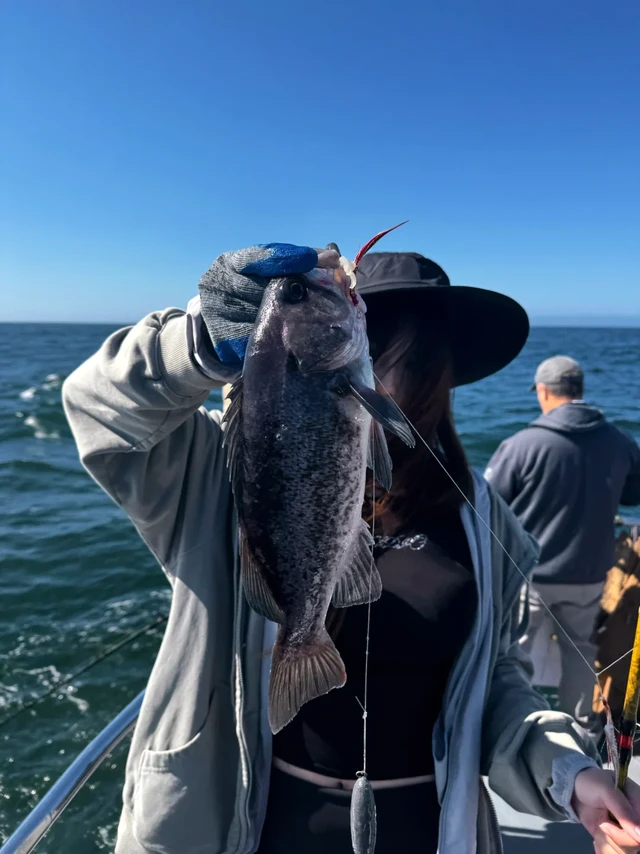 Santa Cruz 海钓｜6小时钓鱼详细流程分享