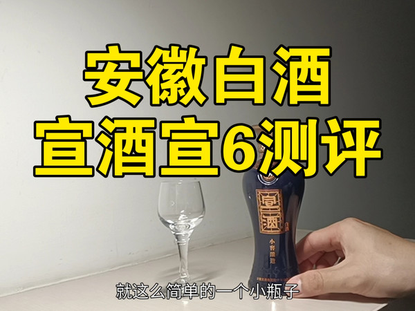 安徽白酒宣酒宣6测评