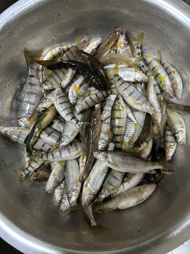 年纪轻轻，睡什么懒觉，起来打野