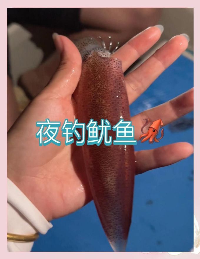 垂钓用品