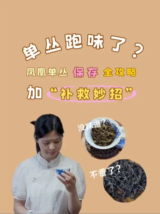 单丛不香了怎么办？保姆级单丛保存方法~ #凤凰单丛 #茶叶保存 #单丛 #茶 #潮汕工夫茶 @小贝鉴茶❄️ @炼知茶院