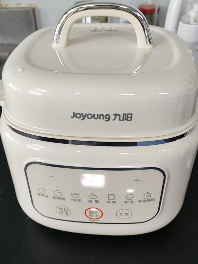 小火慢炖，九阳电炖锅养生好帮手