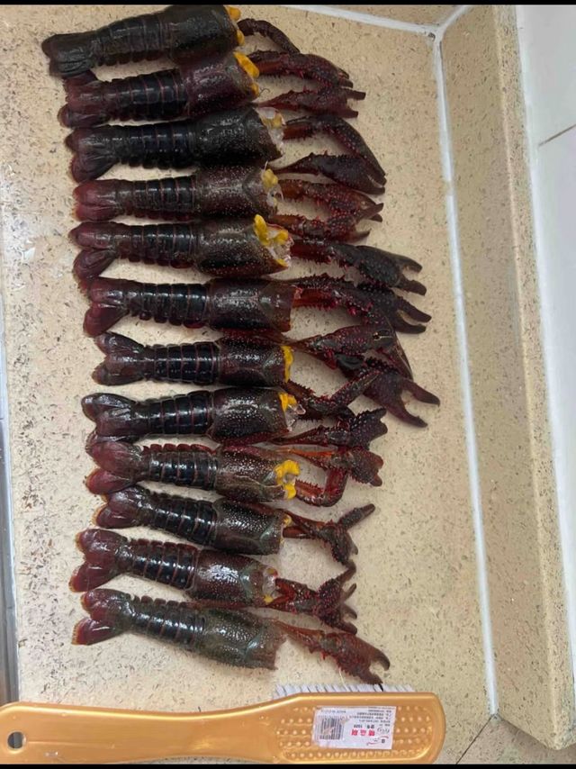 龙虾好吃难清洗，有没有好的清洗方法，洗的又快又干净