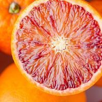 血橙和红橙的区别，哪种甜度高？