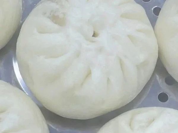 花钱才能学得到——新手一次就能成功的教科书级包包子教程