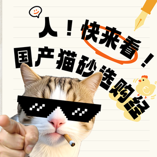2025国产猫砂深度选购指南：科学选择策略与优质产品推荐