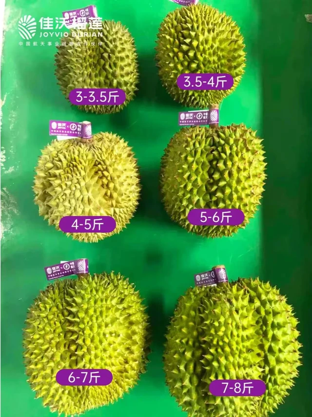 榴莲这么多个规格，我选哪个好？
