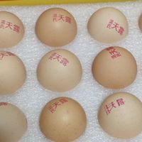 温氏供港鲜鸡蛋，自然喂养的健康美味！