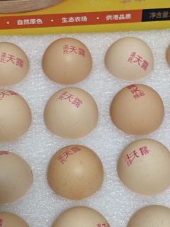 温氏供港鲜鸡蛋，自然喂养的健康美味！