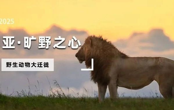 【肯尼亚亲子游学】一生一次，见证史诗级动物大迁徙！野保专家亲自授课 |  马赛野保志愿者证书｜火烈鸟的天堂画卷