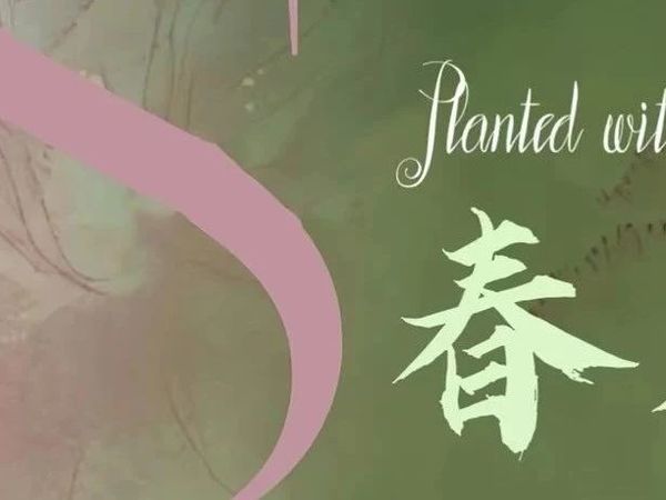 春见·2025年春季时尚潮流婚礼秀丨巢湖南岸碧桂园凤凰酒店