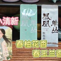 【凤凰单丛】两叶小清新，春柚花香&玉兰香测评（20250531）