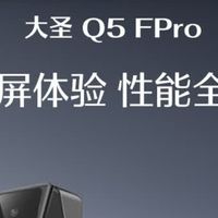 德施曼大圣Q5FPro智能锁，解锁便捷安全新体验