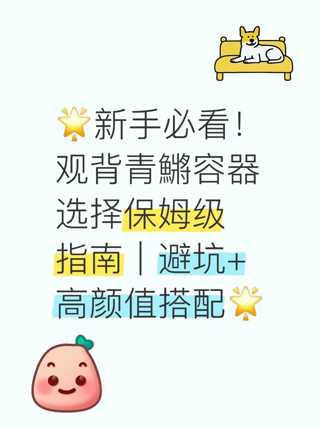 新手必看-观背青鱂容器选择指南