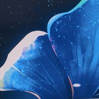 联想YOGA Book 9i AI元启开启双屏交互新体验