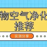宠物空气净化器哪个好用？宠物空气净化器排行榜推荐