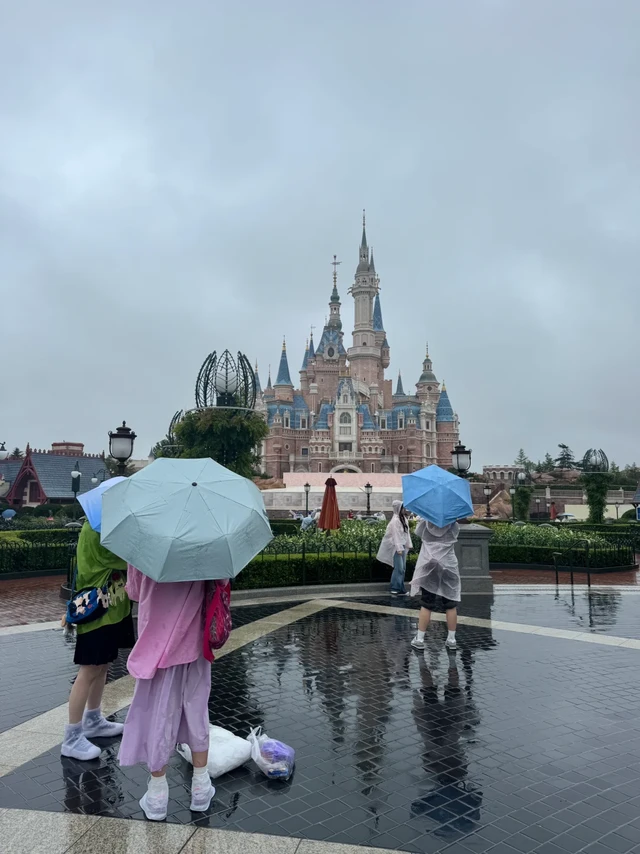 迪士尼会惩罚每个不做攻略的人（雨天攻略）