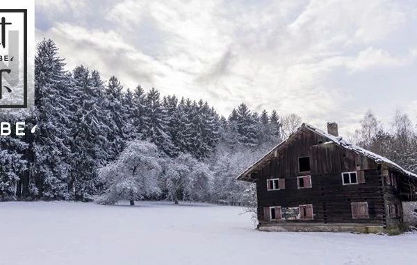 广东小金豆勇闯哈尔滨11天，决定揭穿东北旅游的秘密