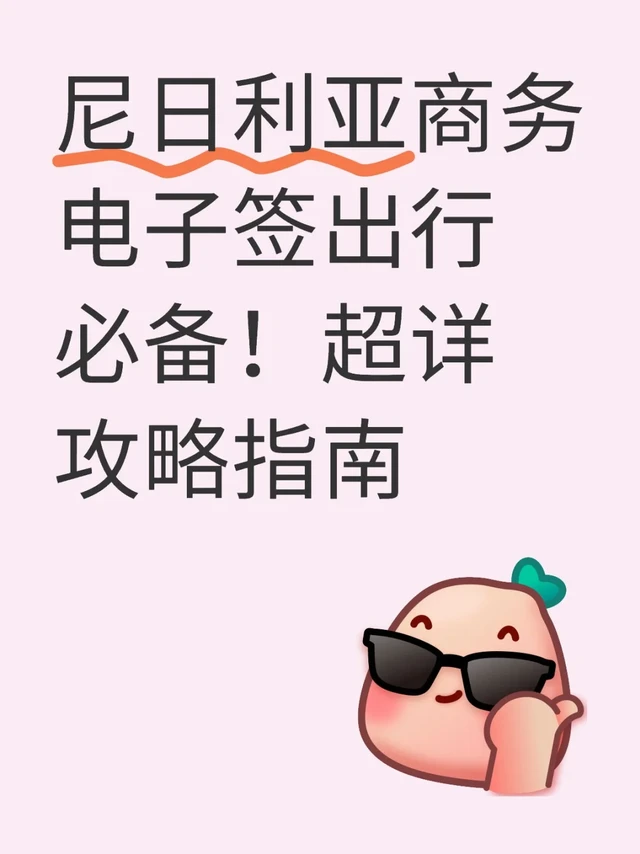 尼日利亚商务电子签出行必备！超详攻略指南