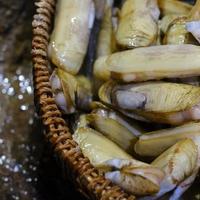 抓紧吃，这10种才是6月海鲜的顶流……