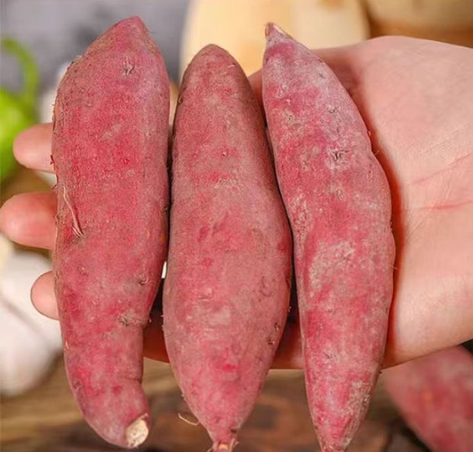 马保果蔬菜