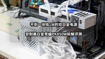 不到一块钱1W的双白金电源丨安耐美白金竞蝠PK850W拆解评测 