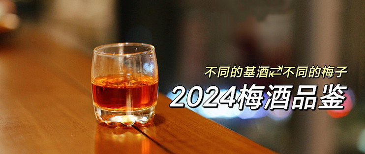 泡梅子酒五年，去年的酒今年喝！附四款存酒品鉴测评