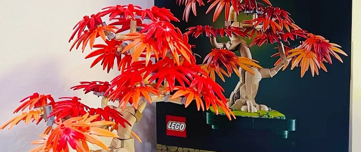 乐高 10348 红枫盆景：把秋天的静谧搬回家