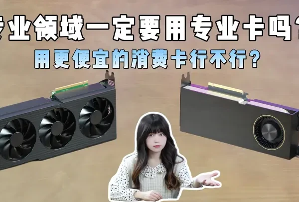 专业领域一定要用专业卡吗？用更便宜的消费卡(游戏卡)不行？ 在选择专业图形工作站时，搭配专业显卡还是消费显卡需要考虑多个因素，包括应用的工作负载、性能需求、显卡优化、稳定性要求以及预算等。 
详细可以