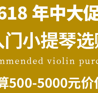 618小提琴选购全攻略：新手避坑指南与9款高性价比推荐（2025版）