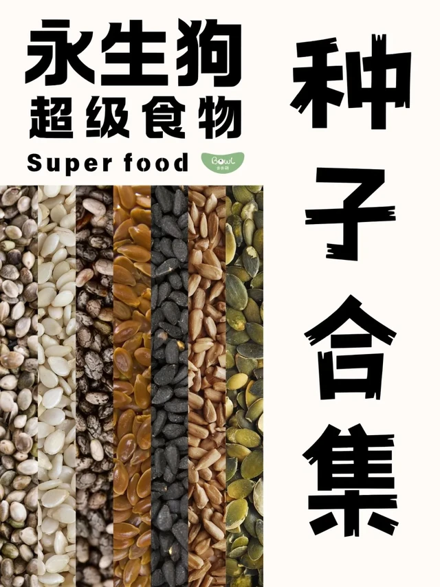🔥【永生狗必备！7大超级种子合集】