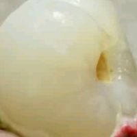 京鲜生广东妃子笑荔枝，源头直发，鲜甜入心！