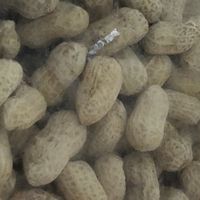 一斤十五元的水煮花生：品味儿时记忆，感受岁月变迁