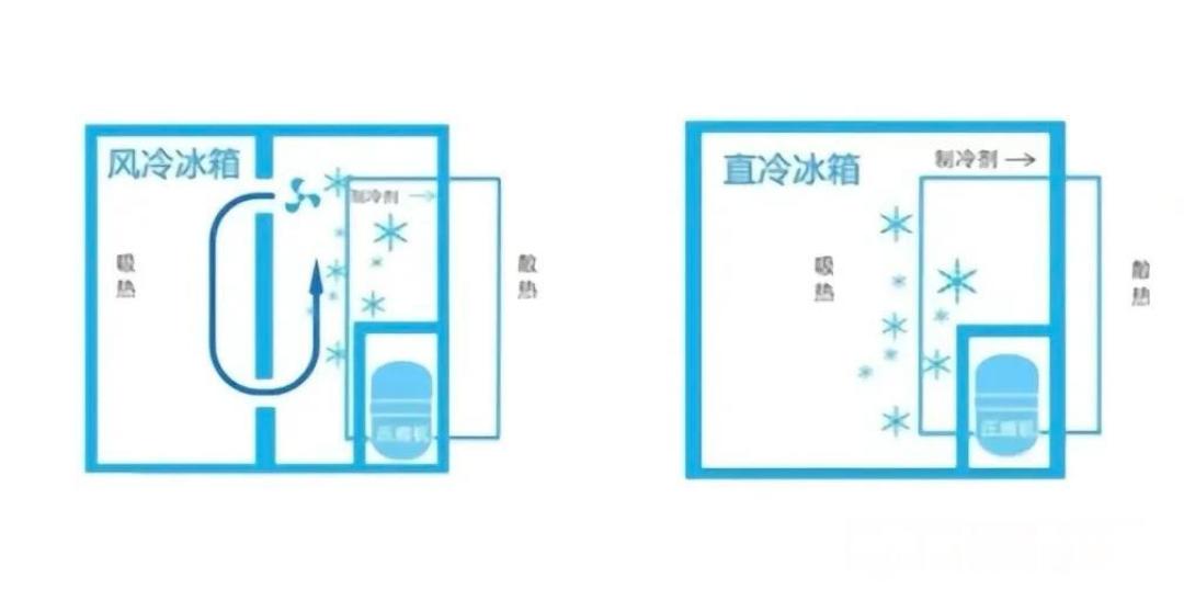 小户型冰箱选购攻略:超薄机身+大容量如何实现空间与功能双赢?