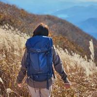小鹰云层24L背包深度评测：登山杖快挂与空速透气设计如何破解户外痛点及选购避坑指南