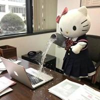 青岛职场现形记：当Hello Kitty都逃不过的打工宿命