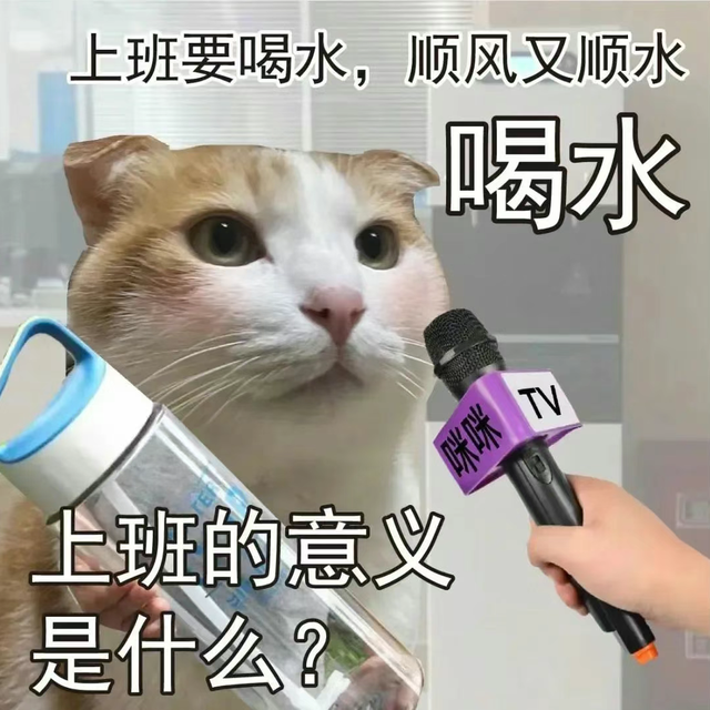 有什么适合干干嘴巴的口红推荐吗？
