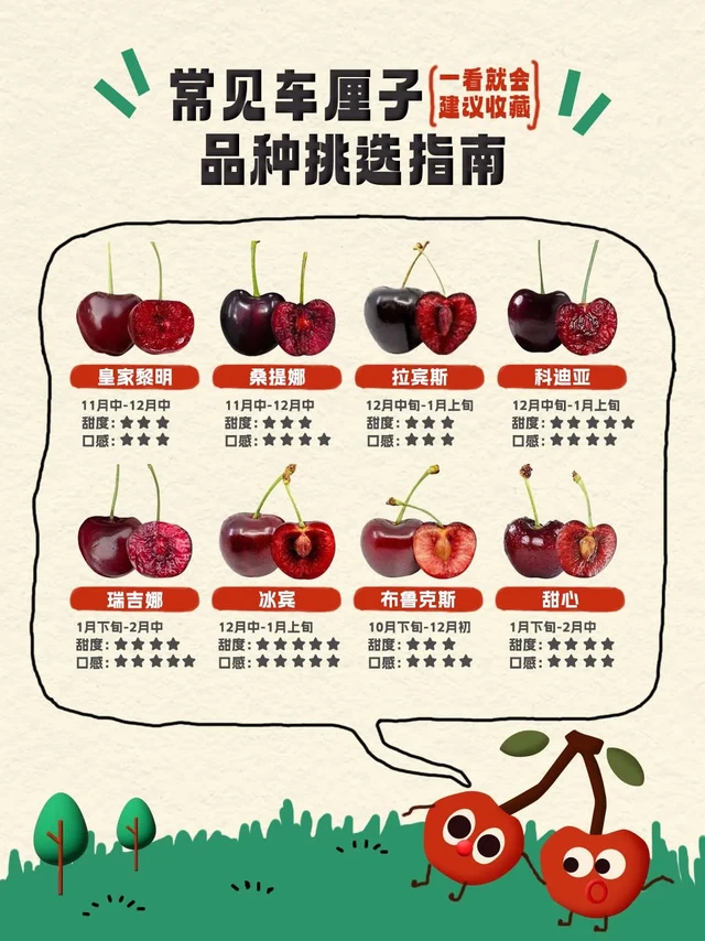 太好了，是实用帖，车厘子脑袋有救了