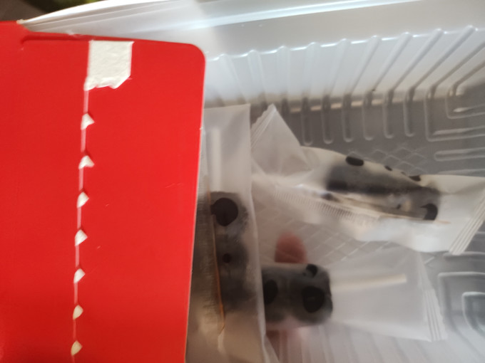 沃隆蜜饯果脯
